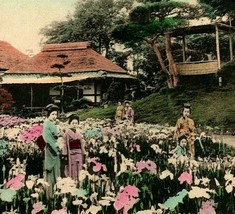 Japan Iris Gardens at Horikiri Tokyo Hand Tinted Gisha 1910s Vtg Postcard UNP - £3.91 GBP