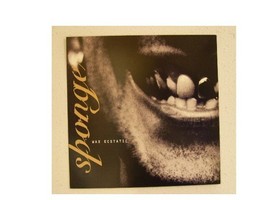 Sponge 2 Sided Poster Flat Wax Ecstatic - $8.96