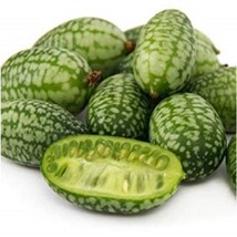 THJAR 25 Melothria Scabra / Mouse Melon / Cucamelaon /  Seeds / DELICIOUS - $6.74