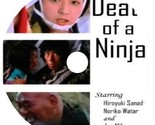 Death Of A Ninja (1982) Movie DVD [Buy 1, Get 1 Free] - $9.99