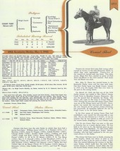 1943 - COUNT FLEET - Kentucky Derby Pedigree, Career Highlights &amp; Race Chart - £15.96 GBP