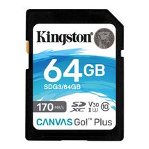 Kingston 256GB Canvas Go Plus microSDXC Card | Up to 170MB/s | UHS-I, C10, U3, V - £28.26 GBP