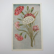 Postcard Greeting Antique 1907 Embossed Carnation Flower Red Pink White UNPOSTED - £7.83 GBP