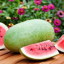 Charleston Grey Watermelon Seeds 25 Thru 500 Seeds Melon Seeds Fresh Garden - $10.85