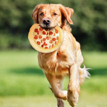 Dog Pizza Toys, Pet Frisbee Plush Vocal Toy, Dog Interactive Toy, Cat Toys - £13.36 GBP+