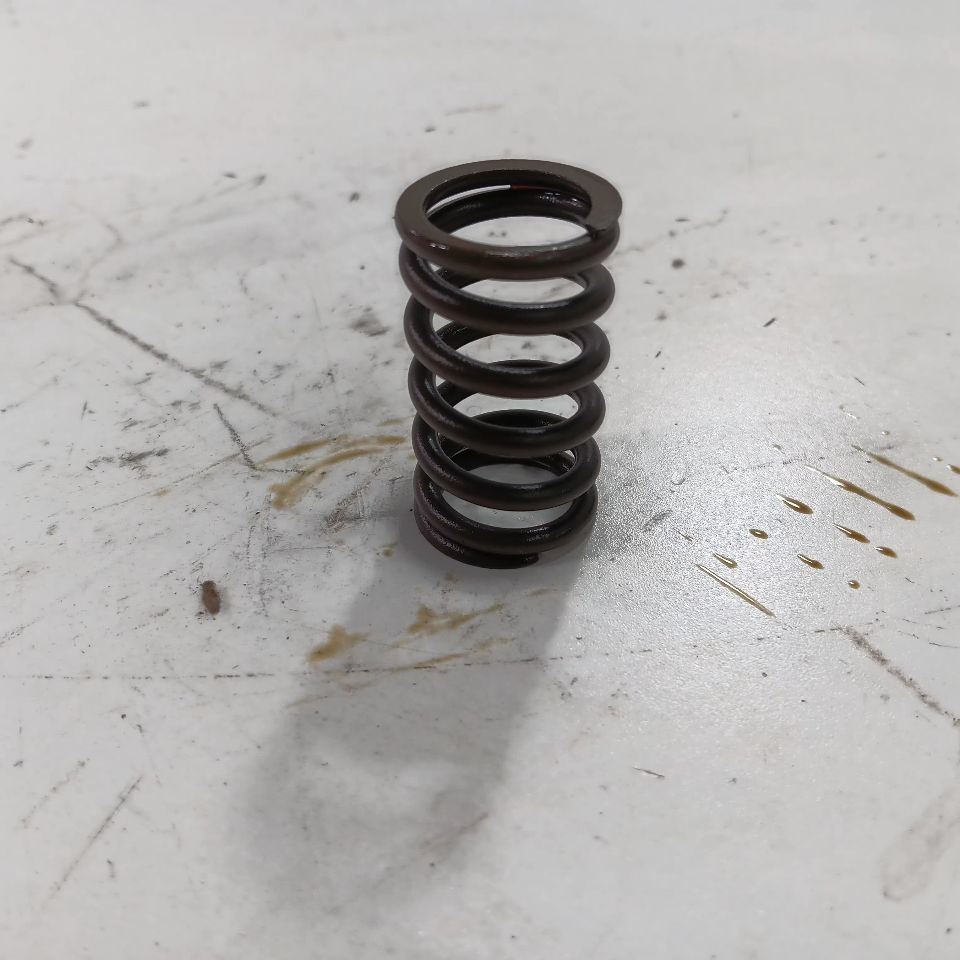 Jeep Compass 2.4 Cylinder Head Intake Valve Spring 2017 2018 2019 2020 2... - $19.94