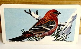 Vintage Songbird Trading Card Pine Grosbeak 1966 S9N39 Brooke Bond Tea Co - €17,52 EUR
