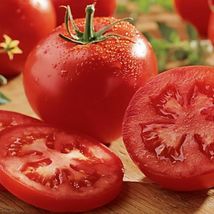 10 Splash Celebrity Tomato Seeds (F1 Hybrid) Non-GMO  - £5.57 GBP