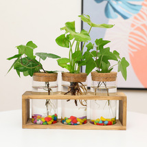 Wood Rack Hydroponic Glass Vase, Flower Tabletop Plant Glass Vase - $25.99+