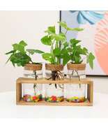 Wood Rack Hydroponic Glass Vase, Flower Tabletop Plant Glass Vase - £20.77 GBP+