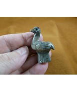 (Y-OST-24) little baby gray OSTRICH carving SOAPSTONE PERU FIGURINE bird... - $8.59