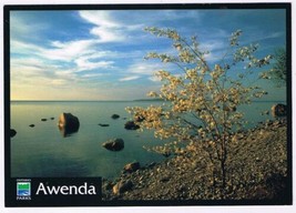 Postcard Awenda Provincial Park Penetanguishene Ontario Georgian Bay 4.75 x 6.5 - $4.94