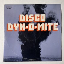 ♫ Disco Dyn-O-Mite ♫ Rare 1975 Homestead Records Original Vinyl LP - £6.60 GBP
