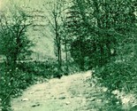 Mountain Stream Near Cambridge New York NY 1907 UDB Postcard  - $6.88