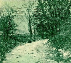 Mountain Stream Near Cambridge New York NY 1907 UDB Postcard  - £5.41 GBP