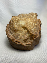 Vtg Petrified Crystalized Ringed Wood Stump Chunk 10 Lbs. Fossilized Wit... - £318.96 GBP