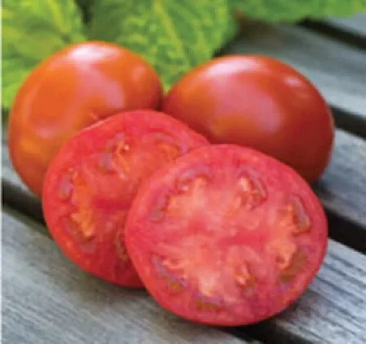 50 Seeds Sweet Seedless Tomato Vegetable Garden - £7.74 GBP