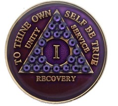 AA Medallion Year 1 - 45 Purple Velvet Tri-Plate Swarovski Crystal Chip - $19.79