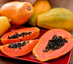 Carica papaya2a s  76407 thumb200