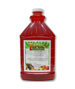 FROZEN DRINK /  GRANITA MIX 4 PLUS 1 CONCENTRATE SMOOTHIE MIX - $33.99