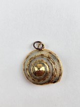 Vintage Gold Tone Seashell Pendant Real Shell Fossil 1&quot; wide - $12.86