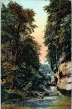 Beer Park Glen and Bridal Veil Falls, New York Postcard 1910 - £8.74 GBP