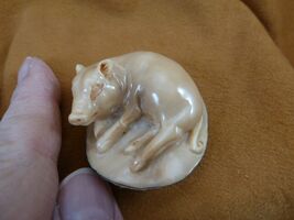 tb-pig-2 little tan pig laying down Tagua NUT palm figurine Bali Piglet ... - $43.99