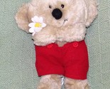 AMERICAN GREETINGS KOALA PLUSH BOOMERANG 9&quot; VINTAGE Bear Stuffed Animal ... - $10.80