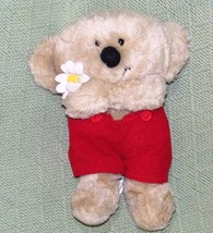 AMERICAN GREETINGS KOALA PLUSH BOOMERANG 9&quot; VINTAGE Bear Stuffed Animal ... - £8.46 GBP