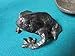 Chinese Bronze Frog ON Ceramic Leaf 2 X 3 Paperweight Item image 6