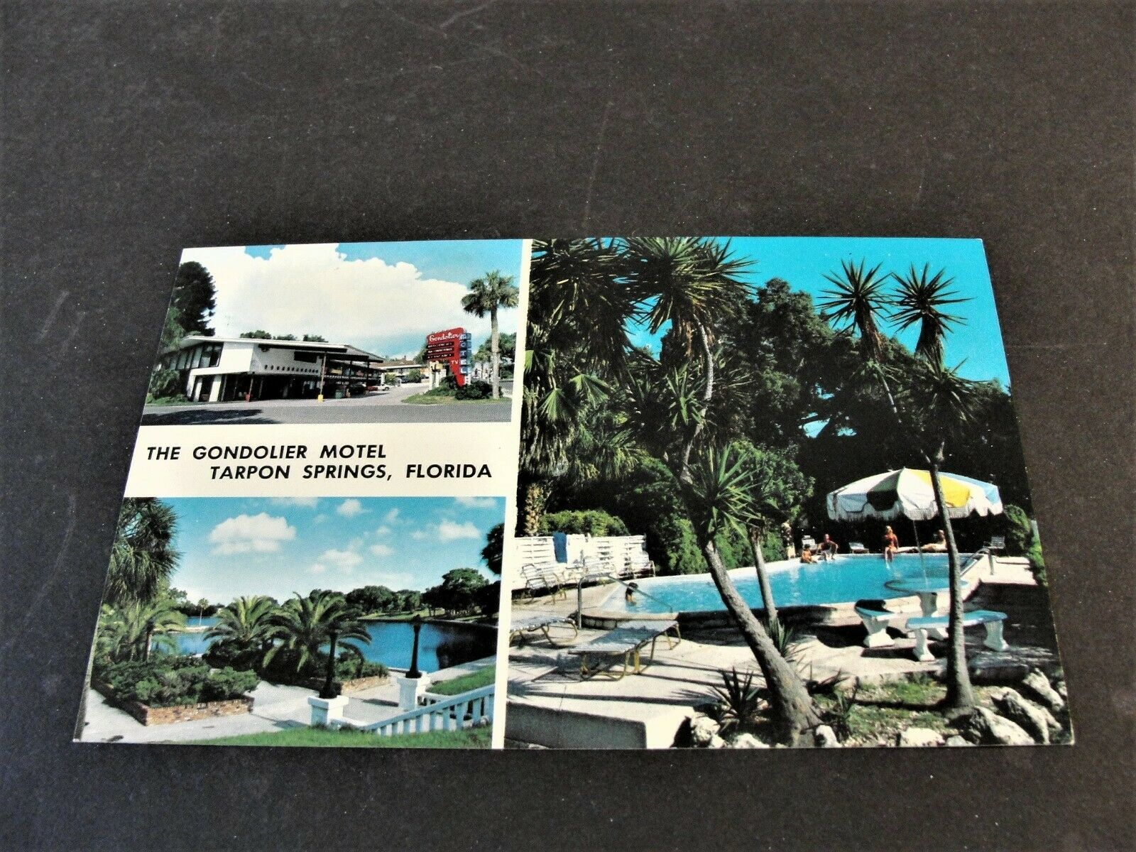 Primary image for The Gondolier Motel, Tarpon Springs, Florida - Unposted Postcard.
