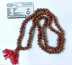 Ganesh Rudraksha Mala 109 Beads Indonesia Java Lab Certified Origin Energized - £71.66 GBP