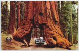 Yosemite Nat&#39;l Park WAWONA Tunnel Tree Yosemite Valley CA.  Postcard Unposted - $10.16