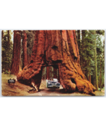 Yosemite Nat&#39;l Park WAWONA Tunnel Tree Yosemite Valley CA.  Postcard Unp... - £8.11 GBP