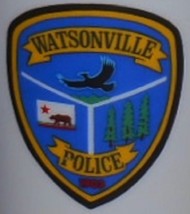 Vintage WATSONVILLE - CALIFORNIA Police HANDLED MUG #2 - $7.91