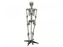 EUROPALMS Halloween Skeleton Standing, 160cm - £59.66 GBP