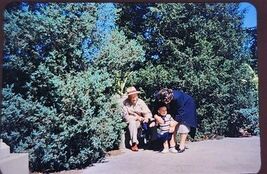 VTG 1951 Kodak Kodachrome Slide Forest Park Man Woman Child Posing in Trees - $9.99