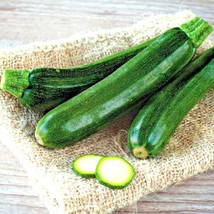 25+ Squash Zucchini Seeds Black Beauty Spring Heirloom Vegetable Garden Non-Gmo - £7.06 GBP