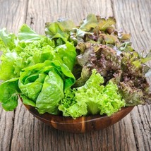 Grow In US 800 Mesclun Mix Leaf Lettuce Seeds (1 Gram)  Fresh Us Seller Fresh - £6.62 GBP
