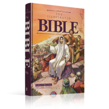 The Illustrated Bible King James Version - £38.87 GBP