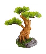 Old Bonsai Tree - £27.21 GBP