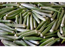 10 Okra Clemson Spineless Seeds Heirloom Vegetable Non-Gmo Garden USA - £5.96 GBP