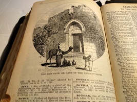 Item image 3