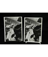 Marilyn Monroe Photocard Postcards 1959 Some Like It Hot Lot of 2 - €8,40 EUR