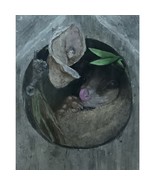 Hidden Possum Acrylic Painting 8x10 - $43.54