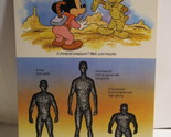 1978 Walt Disney&#39;s Fun &amp; Facts Flashcard #DFF11-15: Different Forms of L... - $2.00
