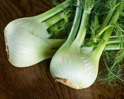 Organic Spherical Fennel Herbal Vegetables, 30 seeds