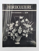 VTG Horticulture Magazine September 1 1936 An Arrangement of Daylilies - £9.79 GBP