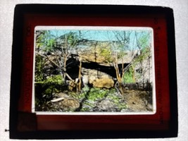 Vintage Color Magic Lantern Slide landscape scene with cave - $18.51 CAD