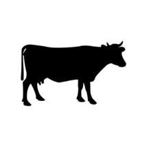 COW Vinyl Decal Sticker - Cattle Ungulate Farm Animal Taurus Ranch Bessie Calf - £3.93 GBP+
